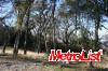 606 Chert
 El Dorado Hills CA 95762