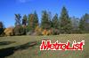 355 Silver Bend
 Auburn CA 95603